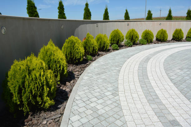 Best Decorative Driveway Pavers  in Fraser, MI